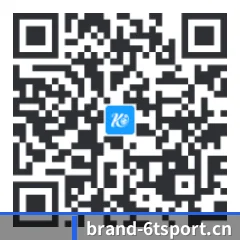 iPhone 专版 二维码
